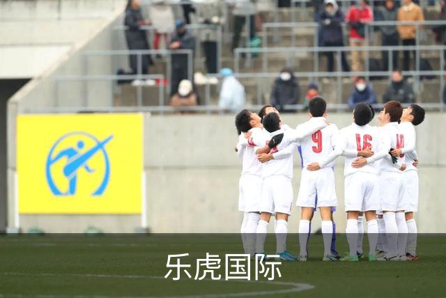 乐虎国际公司简介